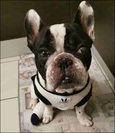 Celui-ci, impossible de ne pas le trouver !