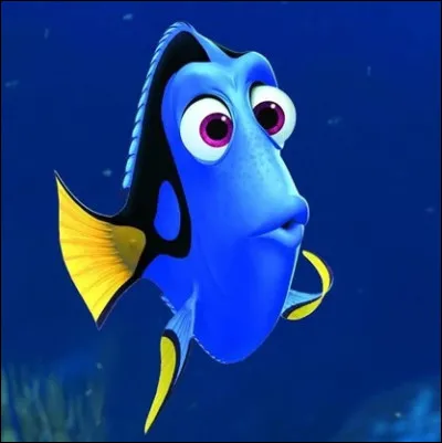 Je suis un poisson bleu amical mais très tête en l'air, souffrant de troubles de la mémoire immédiate. Malgré tout, je fais preuve dun grand cur et dune incroyable détermination dans ''Le Monde de Nemo''. Je suis...