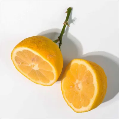 Y : 
Quel est cet aliment ?