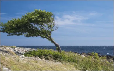 Dans quel sens souffle le mistral ?