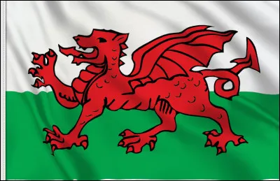 Quel est ce drapeau ?