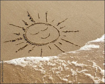 La cellulose est un polymère.