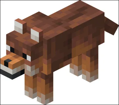 Et pour transformer un loup en chien ?