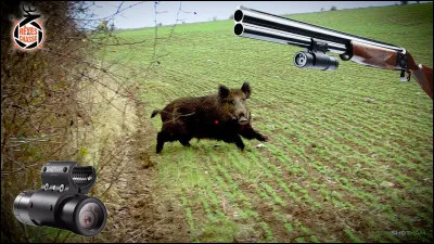 Quel est ton point fort à la chasse ?