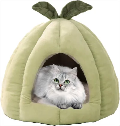 Que penses-tu des chats domestiques ?