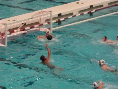Quelle est,  50 cm prs, la largeur des buts au water-polo ?