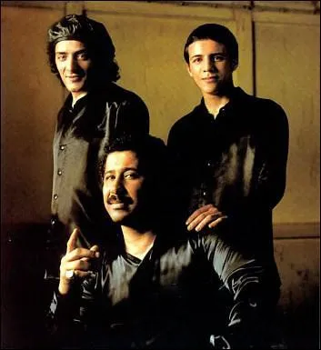 Quel genre musical tait  l'honneur du concert '1, 2, 3 soleils' ?