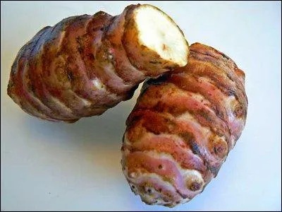 Quel lgume voisin du navet tire son nom d'une peuplade brsilienne ?