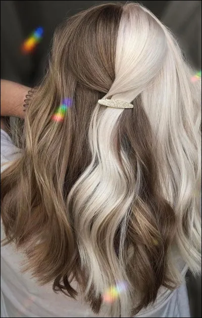 Jai les cheveux bicolores. Qui suis-je ? 
(Ne vous fiez pas à limage)