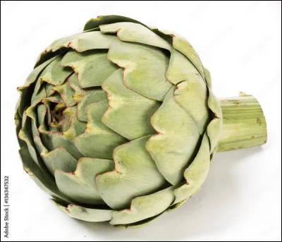 Voici une plante riche en fibres, en antioxydants, en calcium, en vitamine B9 et en magnésium, offrant de nombreux bienfaits pour la santé.
Quel est son nom ?