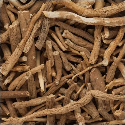 Voici maintenant une plante médicinale utilisée en médecine ayurvédique, connue pour ses propriétés anti-inflammatoires, antioxydantes et aphrodisiaques.
Quel est son nom ?