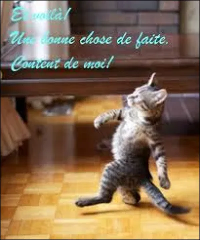 Quel est ton animal Totem ? (2)