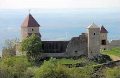 Je vous emmène maintenant visiter le château de Chevreaux. Village de Bourgogne-Franche-Comté, dans l'aire d'attraction Lédonienne, il se situe dans le département ...