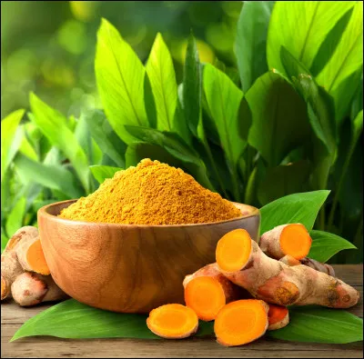 C- Voici une plante originaire d'Inde et du Sud-Est asiatique. C'est une plante herbacée connue pour son rhizome jaune-orange riche en curcumine.
Quelle est cette plante ?