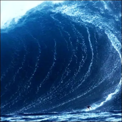 Quel peintre, célèbre pour sa "Grande vague", était surnommé le "vieux fou de dessin" ?