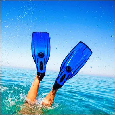 Quelle race de chien du groupe des molossoïdes possède dexcellentes capacités aquatiques grâce à ses pattes palmées ?