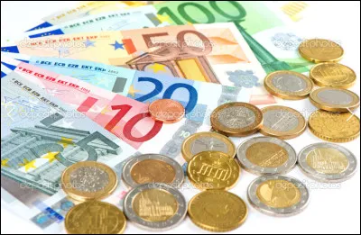 Quel est le nom donné à la monnaie comprenant les pièces et les billets ?