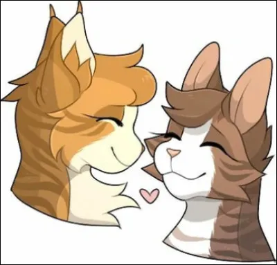 Nous sommes à ex-æquo dans ce quiz ! Rien d'étonnant car nous partageons tellement de choses ! Nous sommes...