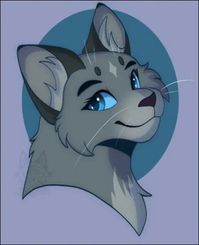 Je remporte la médaille de bronze ! C'est moi...