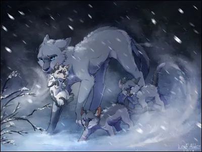 Je suis en deuxième position sur le podium ! Je suis...