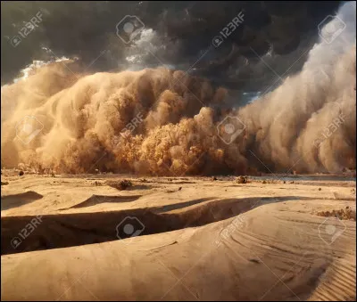 Quel nom te vient à l'esprit devant cette image ?