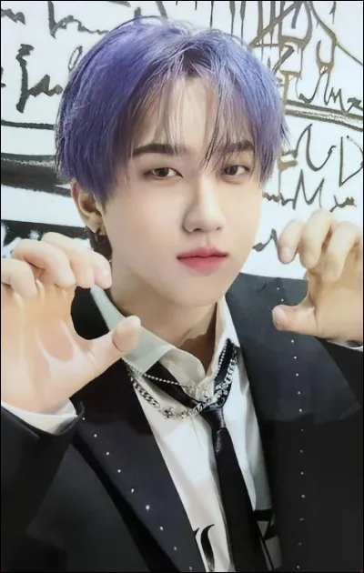 De quelle couleur est son Skzoo ?