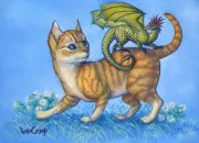 Test Es-tu plut�t team LRDF ou team LGDC ?