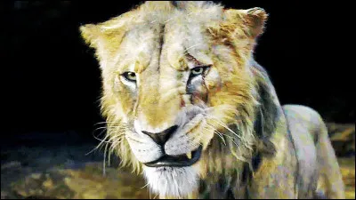 Comment sappelle le frère de Mufasa ?