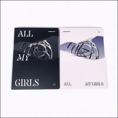 Allez, c'est l'avant-dernière : À quel groupe cet album appartient-il ?