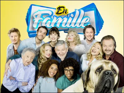 Quel est le nom porté par les protagonistes « dEn famille » ?