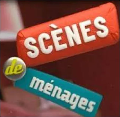 (Ce quiz date de 2025) 
Parmi ces couples, lequel nest plus au casting de « Scènes de ménages » ?