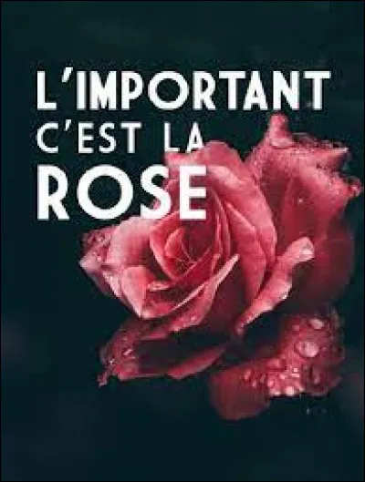 Qui nous chantait "L'Important c'est la rose" ?