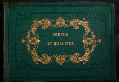 Quelle est ta principale qualité ?