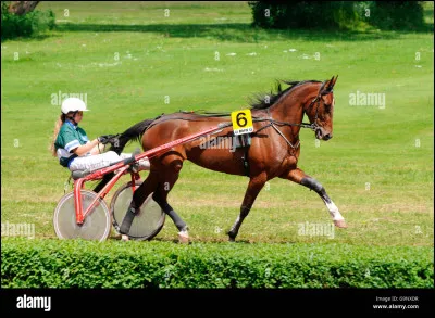 Quelle est cette discipline ?