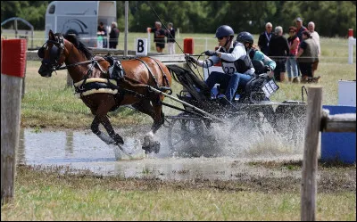 Quelle est cette discipline ?