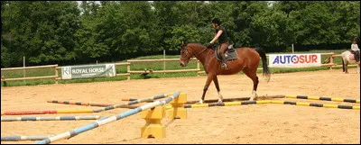 Quelle est cette discipline ?