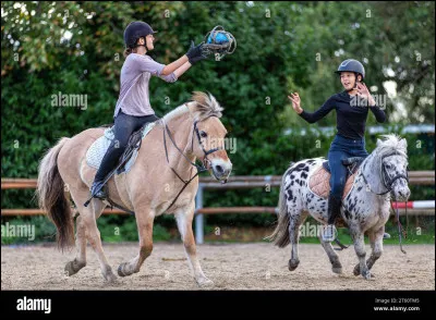 Quelle est cette discipline ?