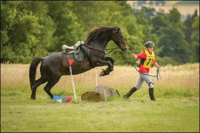 Quelle est cette discipline ?