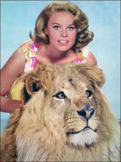 Dans la série "Daktari", comment s'appelle le lion atteint de strabisme ?