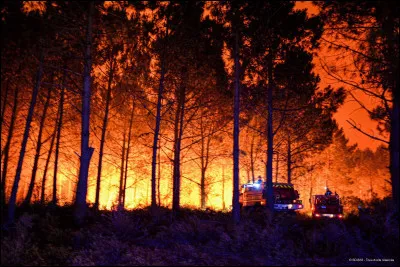 Histoire : De quand à peu près date la découverte du feu ?