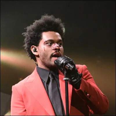 Quel est ce chanteur ?