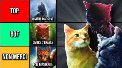 Aimes-tu Poil d'Écureuil ? (laisse ton avis en commentaire)