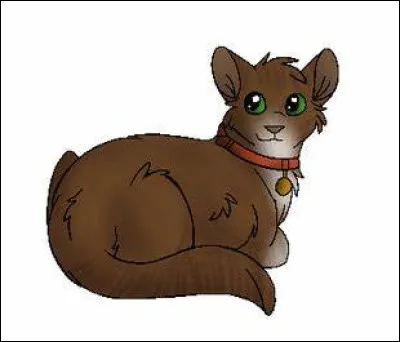 Lequel de ces métiers préfères-tu ?