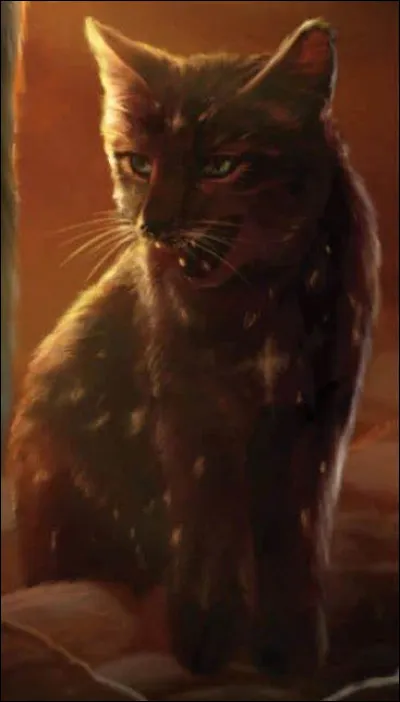 Ton chef te déclare lieutenant ! Quelle est ta réaction ?