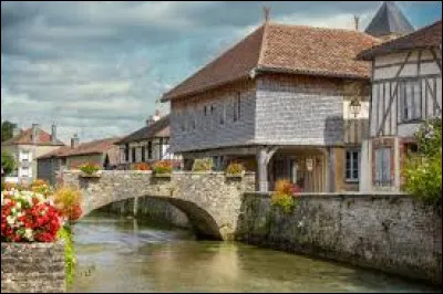 Nous franchissons le pont Henri IV, qui franchit la Laines, &agrave; Soulaines-Dhuys. Village du Grand-Est, dans l'aire d'attraction Baralbine, il se situe dans le d&eacute;partement ...
