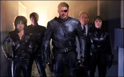 Quel est le nom de l'organisation secr&egrave;te dirig&eacute;e par Nick Fury ?