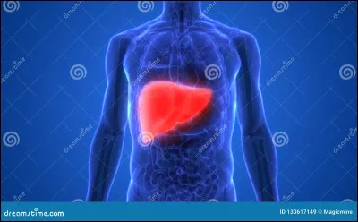 Quel spécialiste traite principalement les maladies du foie ?
