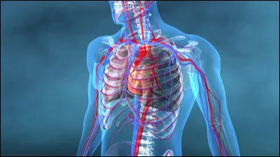 Quel médecin est responsable de la prise en charge des patients souffrant de pathologies cardiovasculaires ?