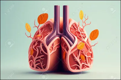 Quel professionnel de santé se concentre sur les maladies du système respiratoire ?
