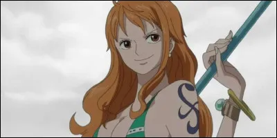 Nami : Quel est son rôle dans l'équipage ?